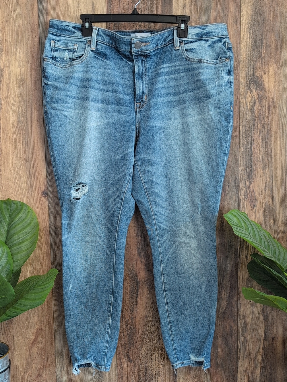 Lane Bryant Light Blue Distressed Ankle Crop Jeans 20 909A